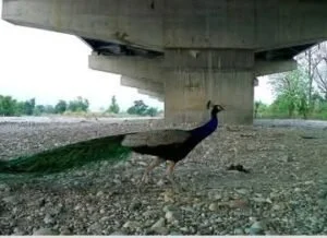 FB IMG 1775826825359