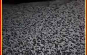 Screenshot 20260405 114007