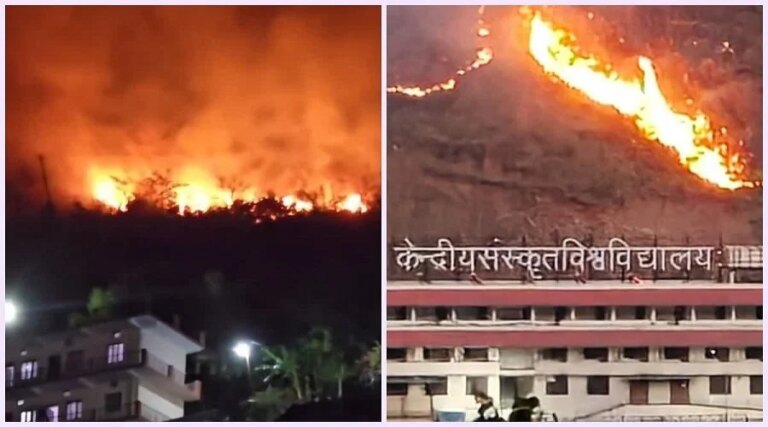 1779876978_forest-fire-at-cenral-sanskrit-univercity.jpg