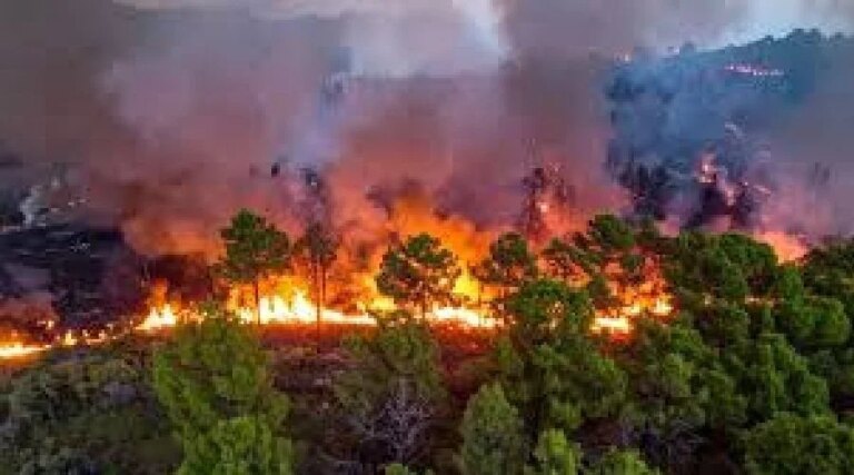 1779946314_1779943144_forest-fire.jpg