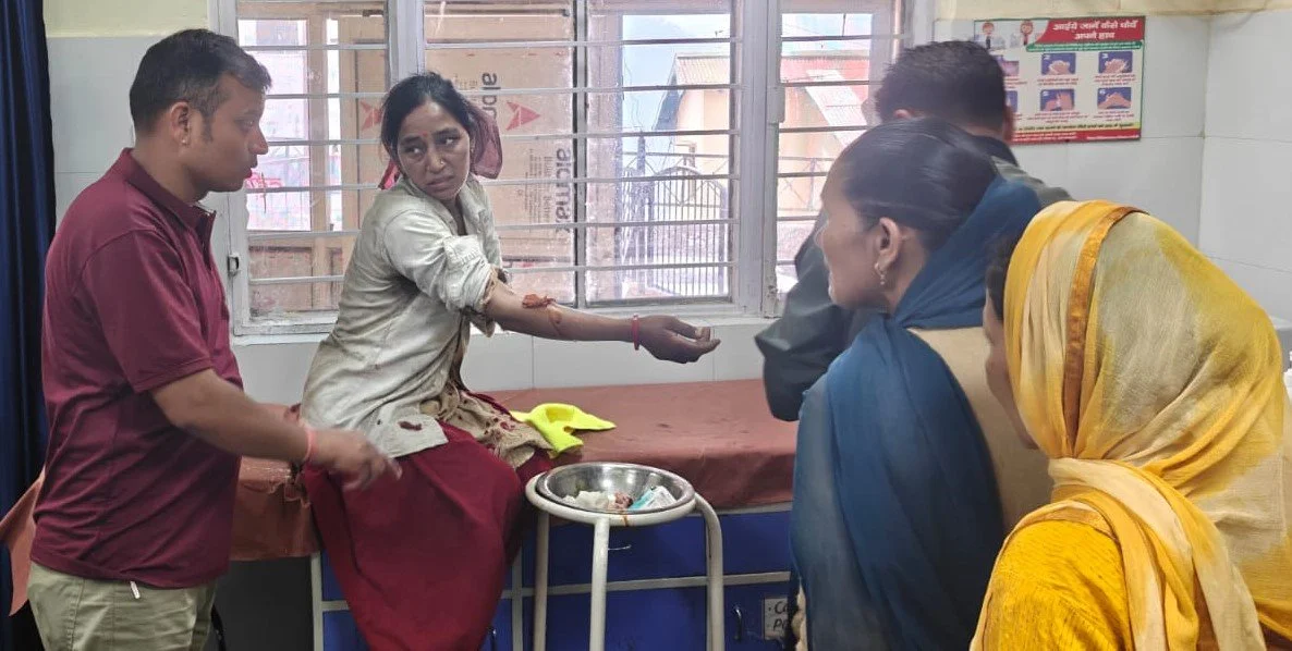 गोपेश्वर में बाघ की दस्तक से दहशत, जंगल गई महिला पर हमला