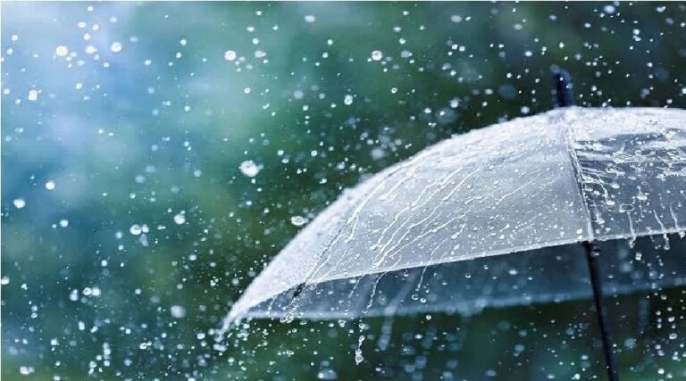 1782539275_monsoon.jpg
