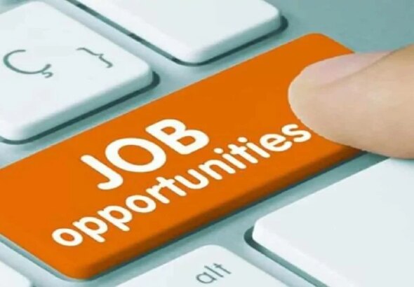 1782798271_job.jpg