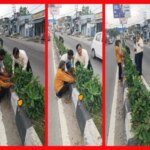 WhatsApp-Image-2026-07-06-at-7.04.42-PM-imageonline.co-merged-e1783366520718.jpeg