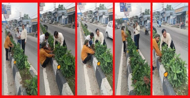 WhatsApp-Image-2026-07-06-at-7.04.42-PM-imageonline.co-merged-e1783366520718.jpeg