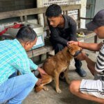 20gop3.jpeg